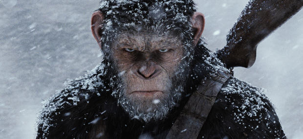 La Planète des singes : Suprématie : Andy Serkis