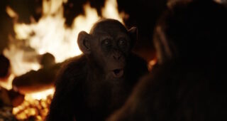 La Planète des singes : Suprématie : Photo