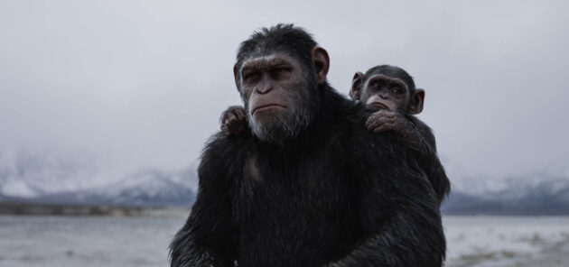 La Planète des singes : Suprématie : Photo
