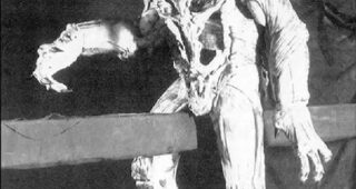 Predator : costume origine