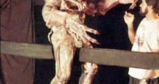 Predator : costume origine