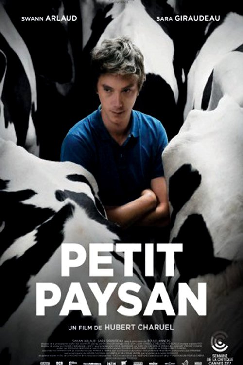 Petit Paysan : Affiche officielle
