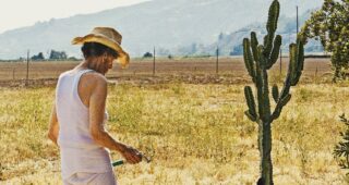 Lucky : Affiche officielle