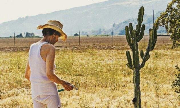 Lucky : Affiche officielle