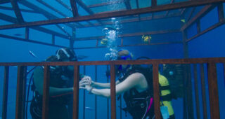 In the Deep : Photo In the Deep