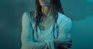 The Sinner : Affiche