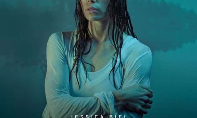 The Sinner : Affiche