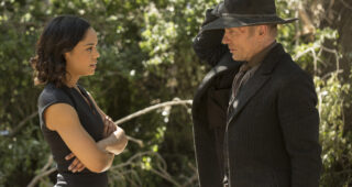 Westworld saison 1 : Photo Ed Harris
