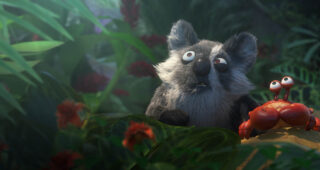 Les As de la Jungle : Photo