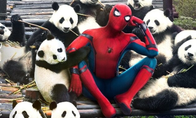 Spider-Man : Homecoming : Photo