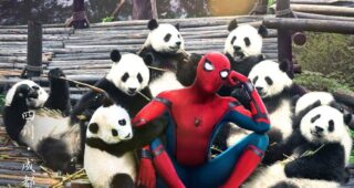 Spider-Man : Homecoming : Photo