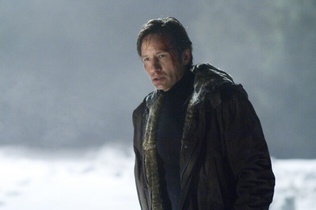Photo David Duchovny