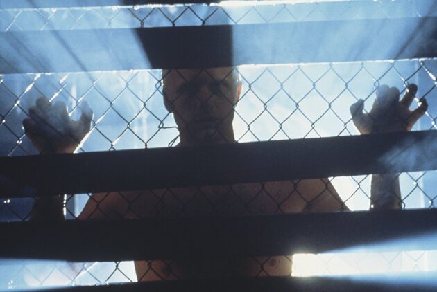 Photo Rutger Hauer