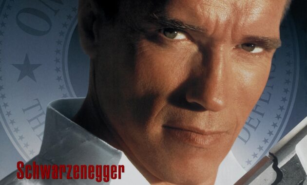 True Lies : Affiche