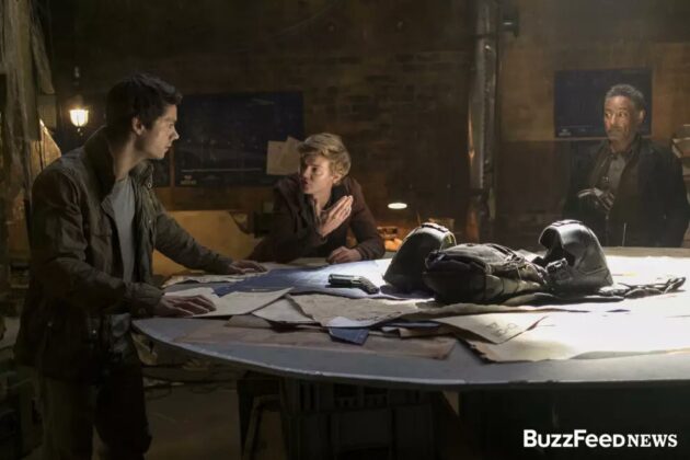 Photo Labyrinthe 3