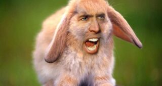 Nicolas Cage : Photo
