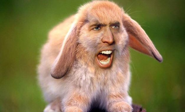 Nicolas Cage : Photo