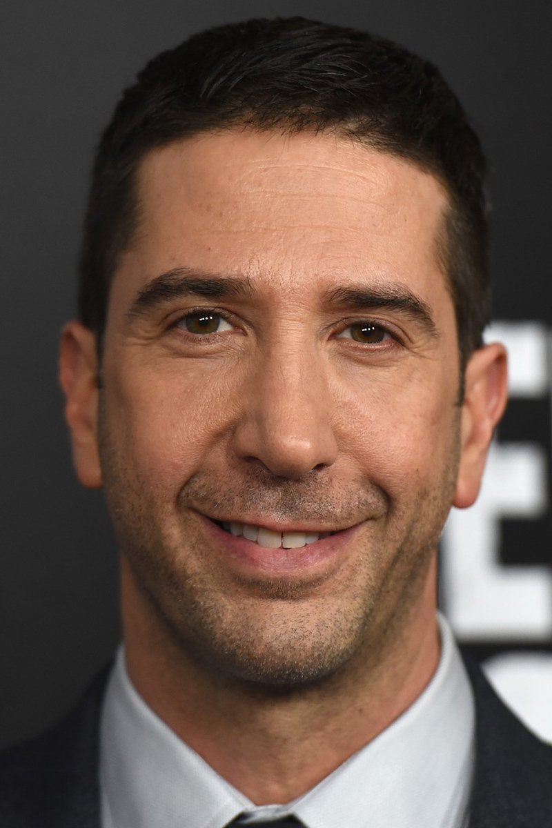David Schwimmer : Photo officielle
