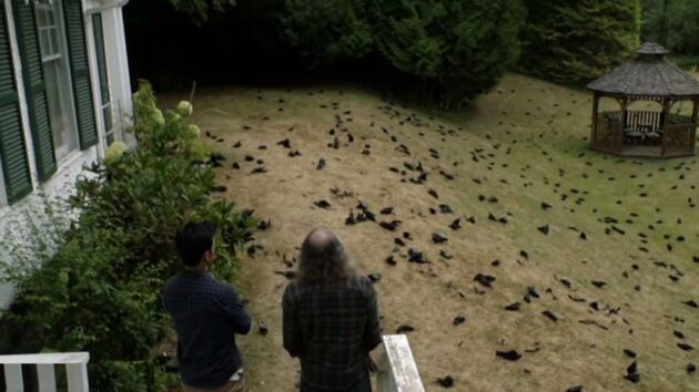 Photo Episode 3
