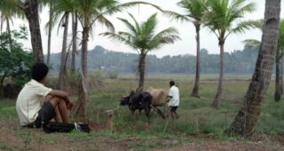 Slumdog millionaire : Photo L'enfant de Goa