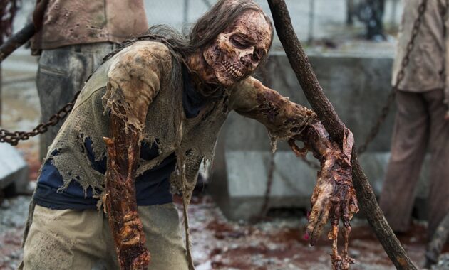 The Walking Dead saison 8 : Photo zombie
