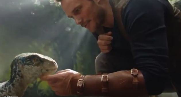 Photo , Chris Pratt