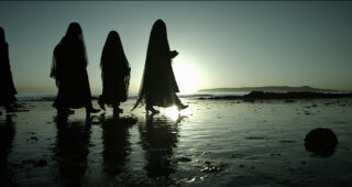 Muse : Photo