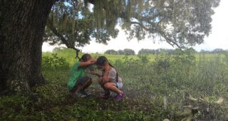 The Florida Project : Photo Brooklynn Prince