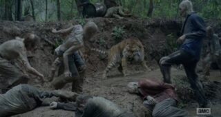 The Walking Dead saison 8 : Photo