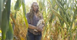 Toni Collette : Photo United States of Tara