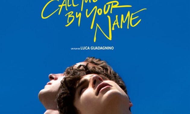 Call Me by Your Name : Affiche française