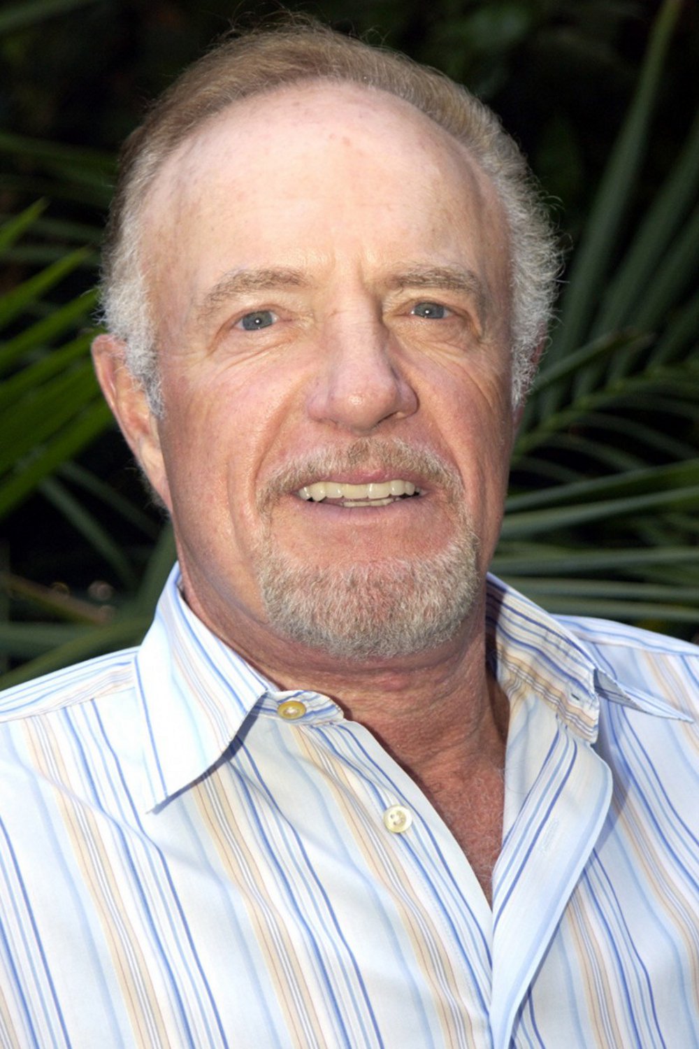 James Caan : Photo officielle