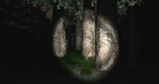 Slender Man : Photo jeu vidéo