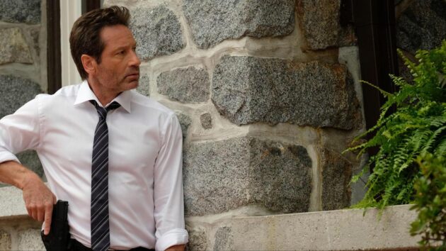 Photo David Duchovny