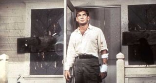 Oiseaux (Les) : Photo Rod Taylor