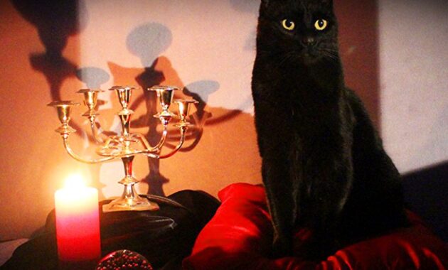 The Chilling Adventures of Sabrina : Photo Salem