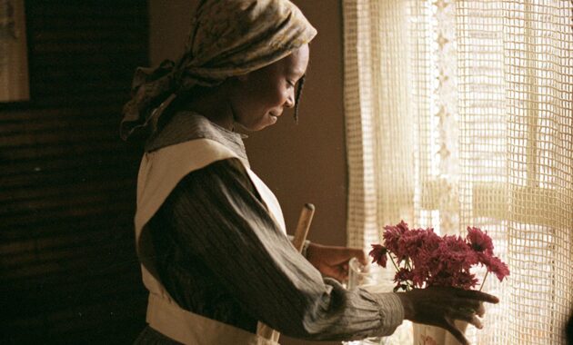 La Couleur pourpre : Photo Whoopi Goldberg