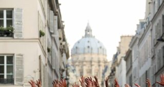 La Nuit a dévoré le monde : Photo