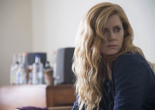 Photo , Sharp Objects saison 1, Amy Adams