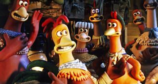 Chicken run : Photo
