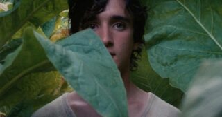 Heureux comme Lazzaro : Photo