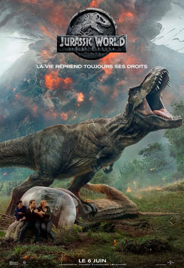 Affiche française