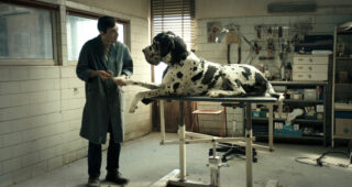 Dogman : photo, Marcello Fonte