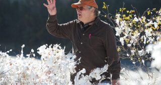 Lawrence Kasdan : photo