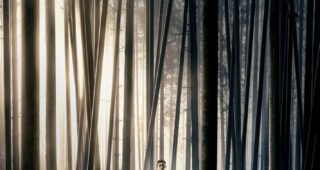 Robin des Bois : Affiche