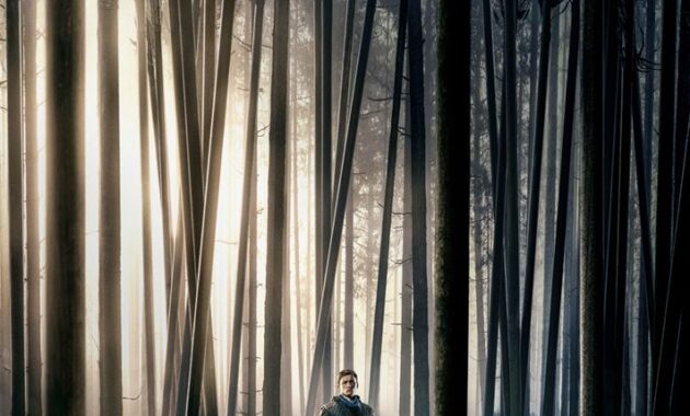 Robin des Bois : Affiche