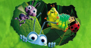 1001 pattes : photo