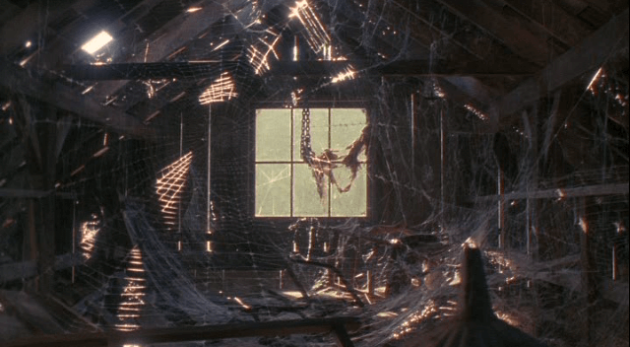 photo Arachnophobie