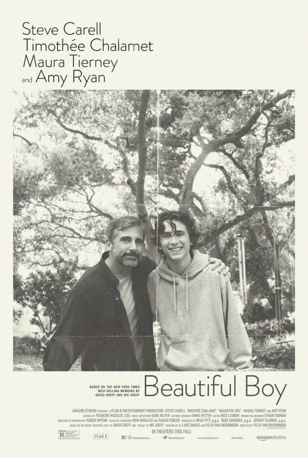 affiche, Steve Carell, Timothée Chalamet