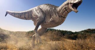 Jurassic World : Fallen Kingdom : photo